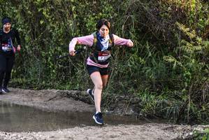 BIB: 
                            <button type="button" onclick="openModal(6967127)" class="btn btn-primary btn-sm float-right btn-popup" data-toggle="modal" data-target=".modal-high-quality">
                        <i class="fas fa-shopping-cart"></i> Add to Cart
                    </button>
                                            <button type="button" onclick="isThisMe(6967127, true)" class="btn btn-success btn-sm float-right btn-popup btn-isme hidden" data-toggle="tooltip" data-placement="bottom" title="นี่คือรูปของคุณใช่ไหม คลิกที่นี่เพื่อเอาเข้าอัลบั้ม">
                        <i class="fas fa-plus"></i> Add to album
                    </button>
                    <button type="button" onclick="isThisMe(6967127, false)" class="btn btn-warning btn-sm float-right btn-popup btn-isnotme hidden">
                        <i class="fas fa-ban"></i> Remove from album
                    </button>